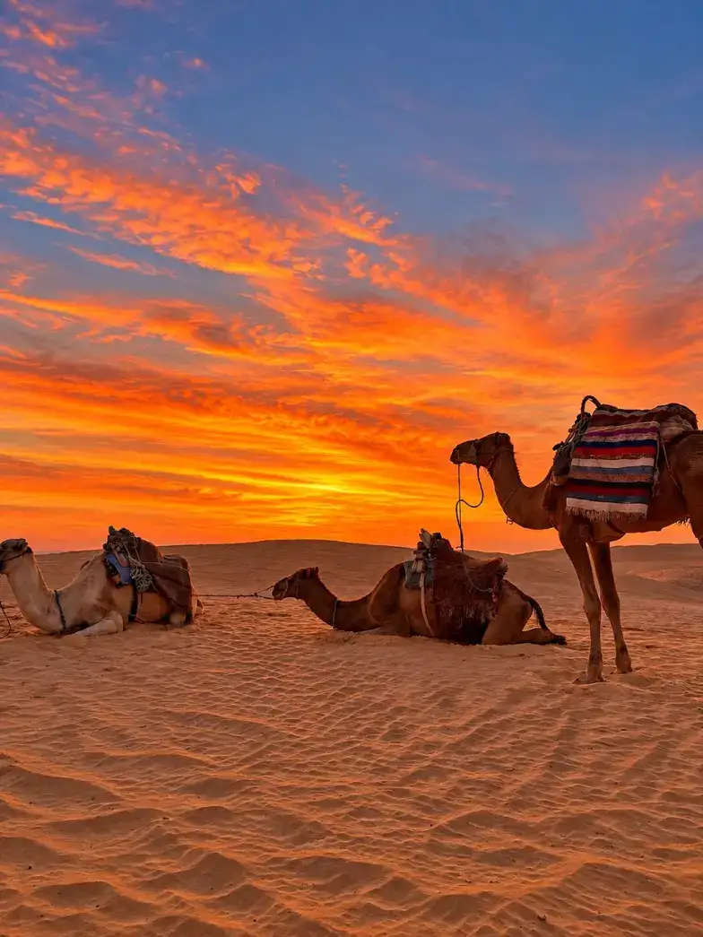 Douz: 3-Day Sahara Adventure with Quad Biking & Bivouac