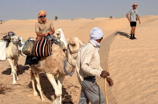 desert tunisie excursion camel trek