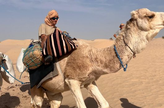 desert tunisie excursion camel