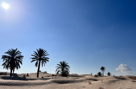 desert tunisie excursion djerba tunisia
