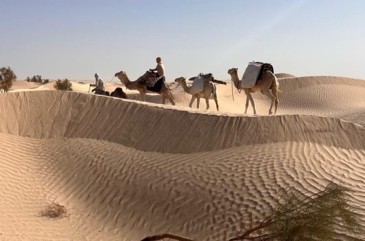 desert tunisie excursion djerba