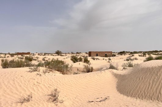 desert tunisie excursion dunes